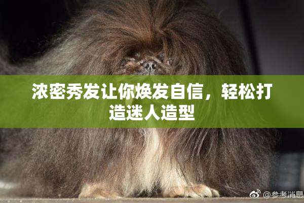 浓密秀发让你焕发自信，轻松打造迷人造型