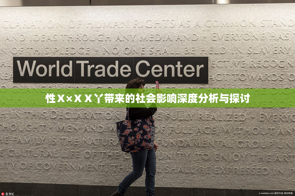 性Ⅹ×ⅩⅩ丫带来的社会影响深度分析与探讨