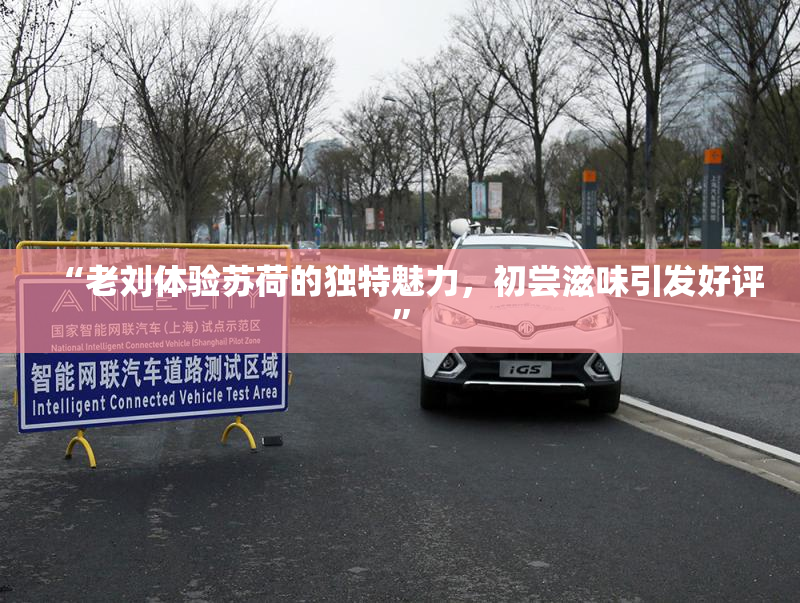 “老刘体验苏荷的独特魅力，初尝滋味引发好评”