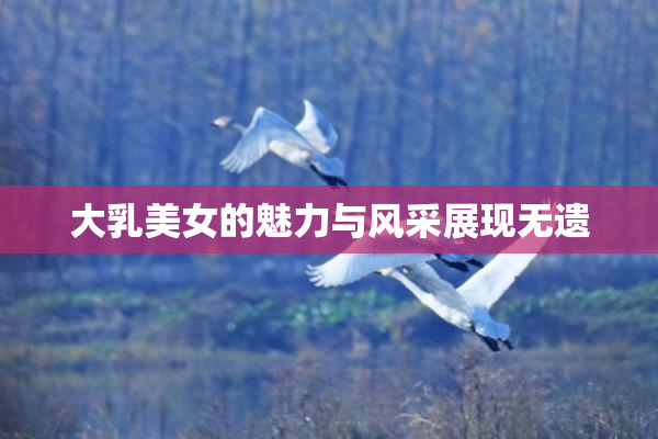 大乳美女的魅力与风采展现无遗