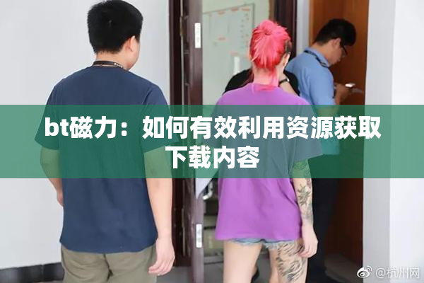 bt磁力：如何有效利用资源获取下载内容