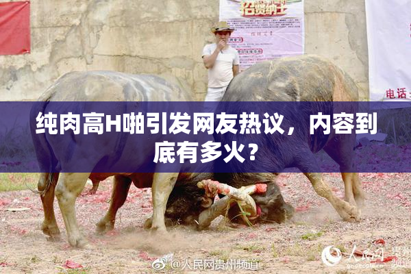 纯肉高H啪引发网友热议，内容到底有多火？