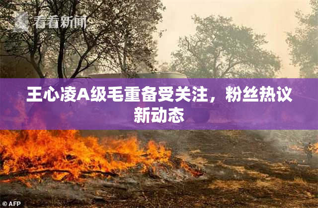 王心凌A级毛重备受关注，粉丝热议新动态