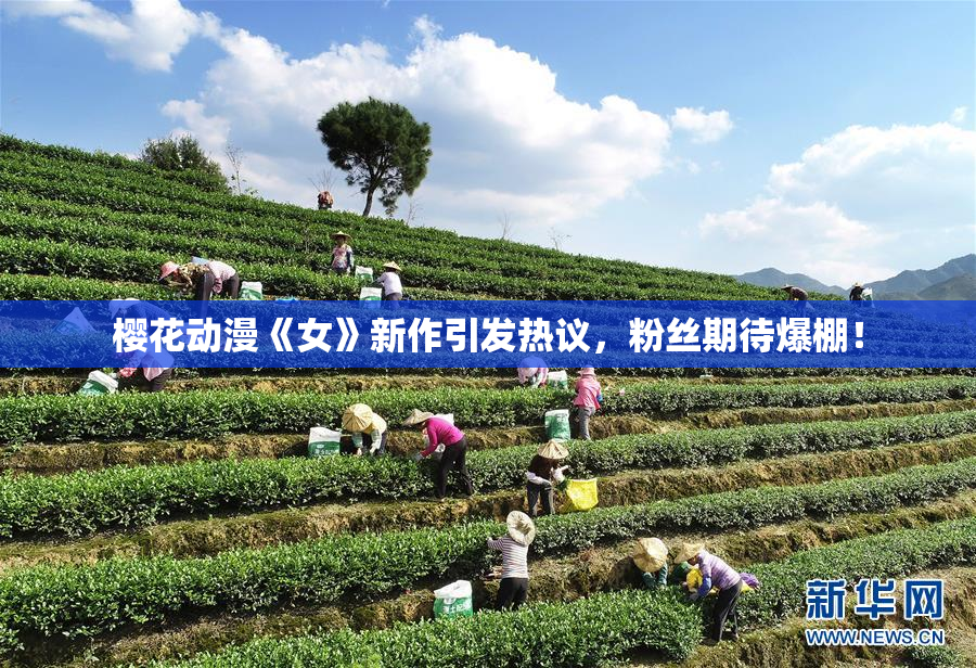 樱花动漫《女》新作引发热议，粉丝期待爆棚！