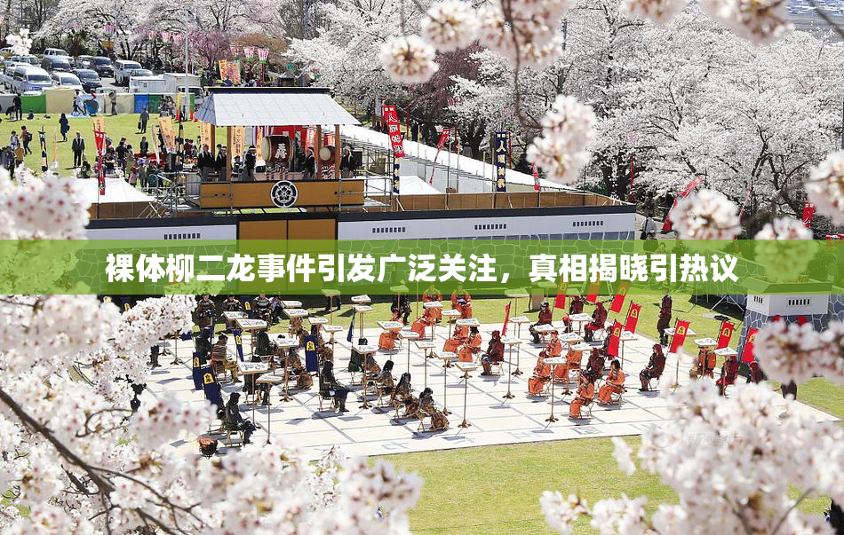 裸体柳二龙事件引发广泛关注，真相揭晓引热议