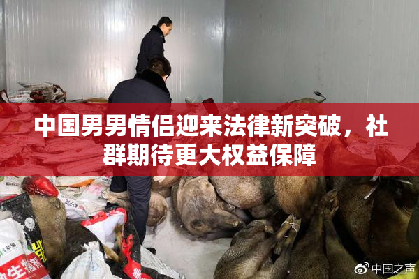 中国男男情侣迎来法律新突破，社群期待更大权益保障