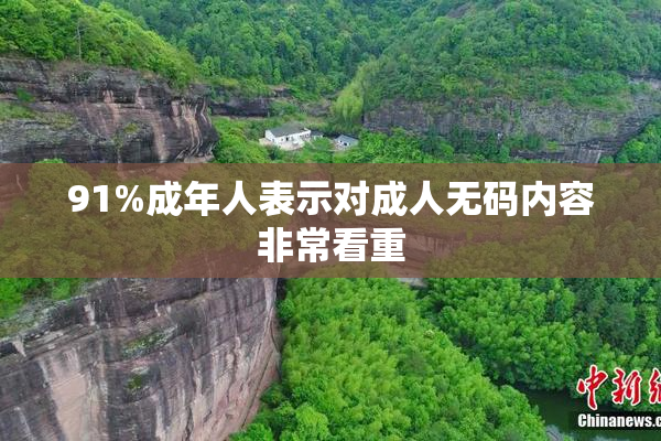 91%成年人表示对成人无码内容非常看重