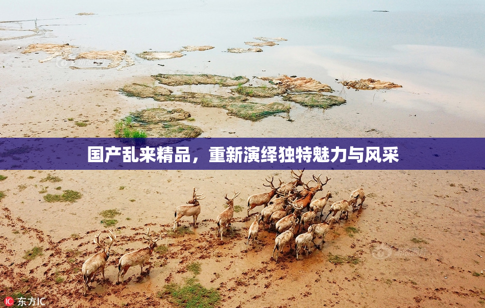 国产乱来精品，重新演绎独特魅力与风采