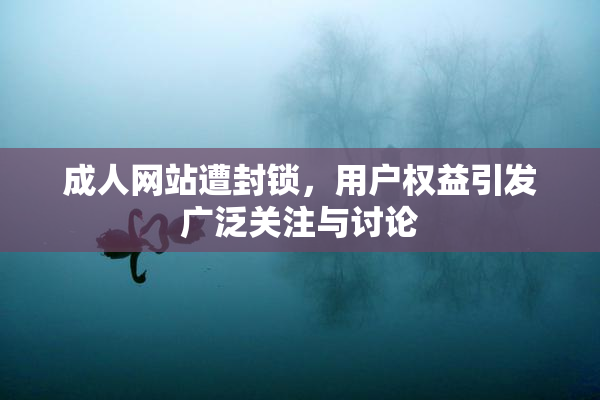 成人网站遭封锁，用户权益引发广泛关注与讨论