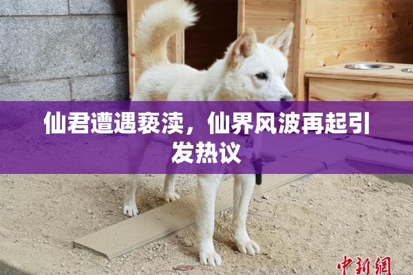 仙君遭遇亵渎，仙界风波再起引发热议