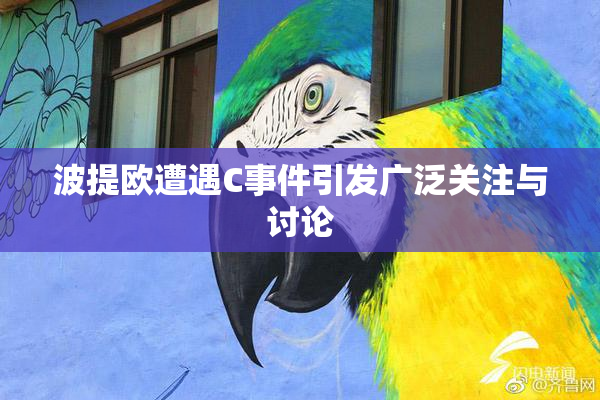 波提欧遭遇C事件引发广泛关注与讨论