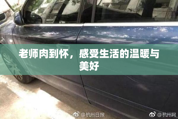 老师肉到怀，感受生活的温暖与美好