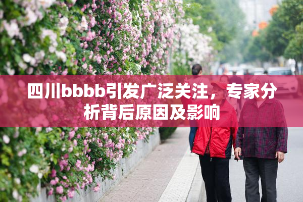 四川bbbb引发广泛关注，专家分析背后原因及影响