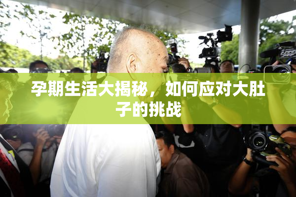孕期生活大揭秘，如何应对大肚子的挑战