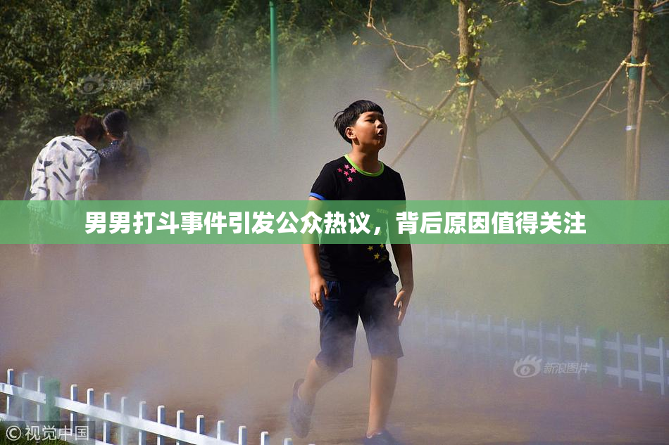 男男打斗事件引发公众热议，背后原因值得关注