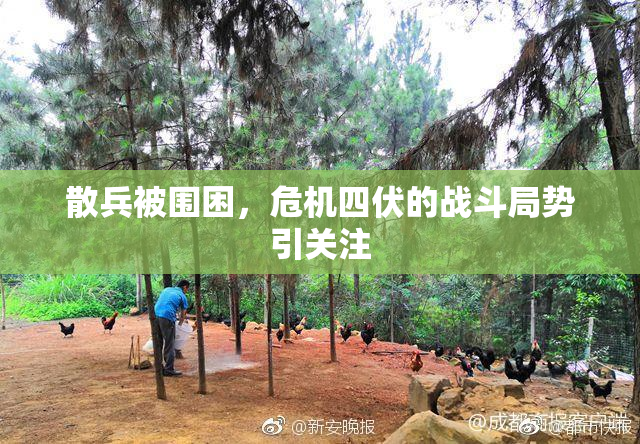 散兵被围困，危机四伏的战斗局势引关注