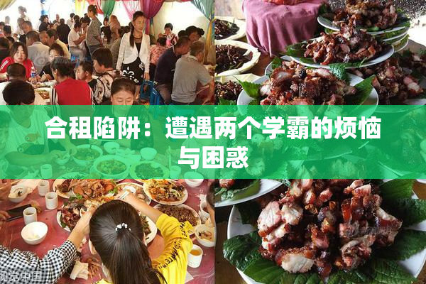 合租陷阱：遭遇两个学霸的烦恼与困惑