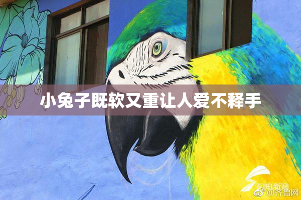 小兔子既软又重让人爱不释手