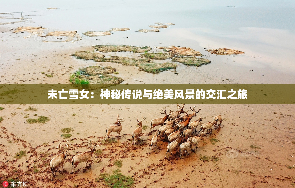 未亡雪女：神秘传说与绝美风景的交汇之旅