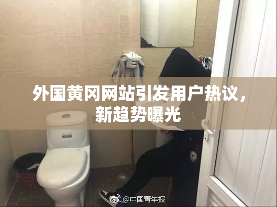 外国黄冈网站引发用户热议，新趋势曝光