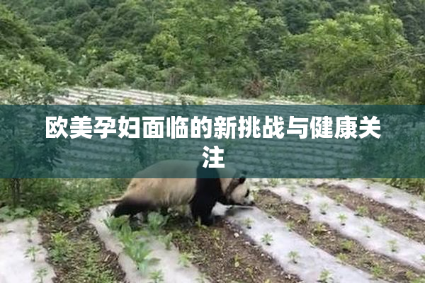 欧美孕妇面临的新挑战与健康关注