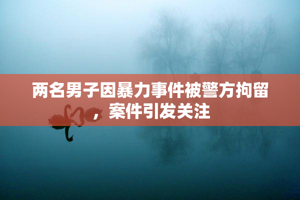 两名男子因暴力事件被警方拘留，案件引发关注