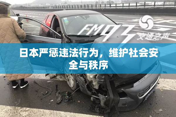 日本严惩违法行为，维护社会安全与秩序
