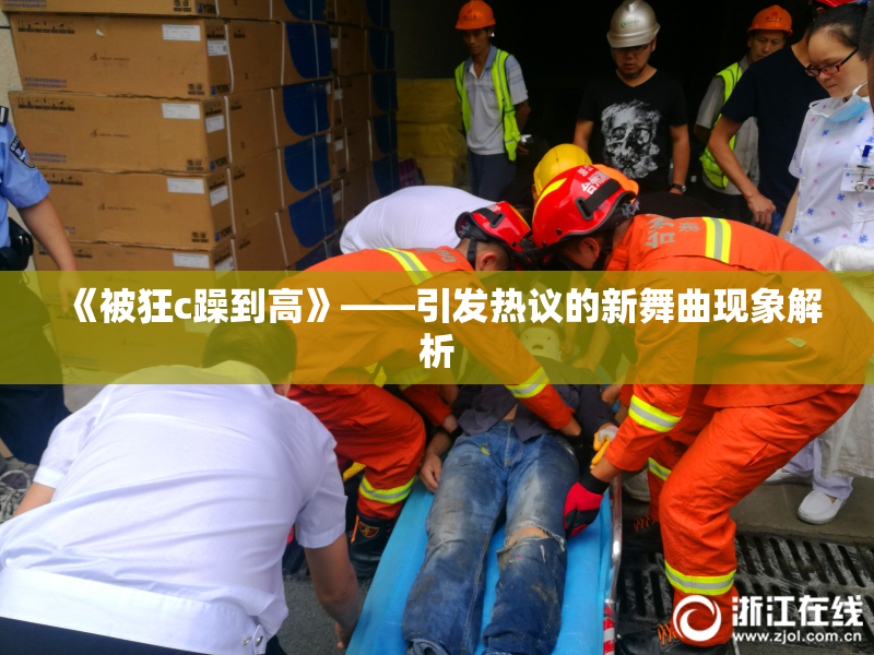 《被狂c躁到高》——引发热议的新舞曲现象解析