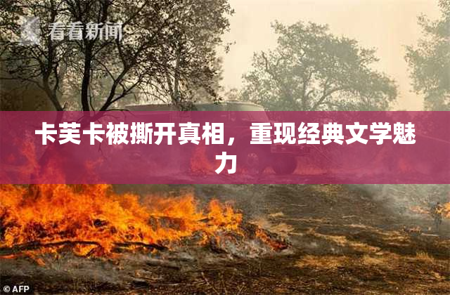 卡芙卡被撕开真相，重现经典文学魅力