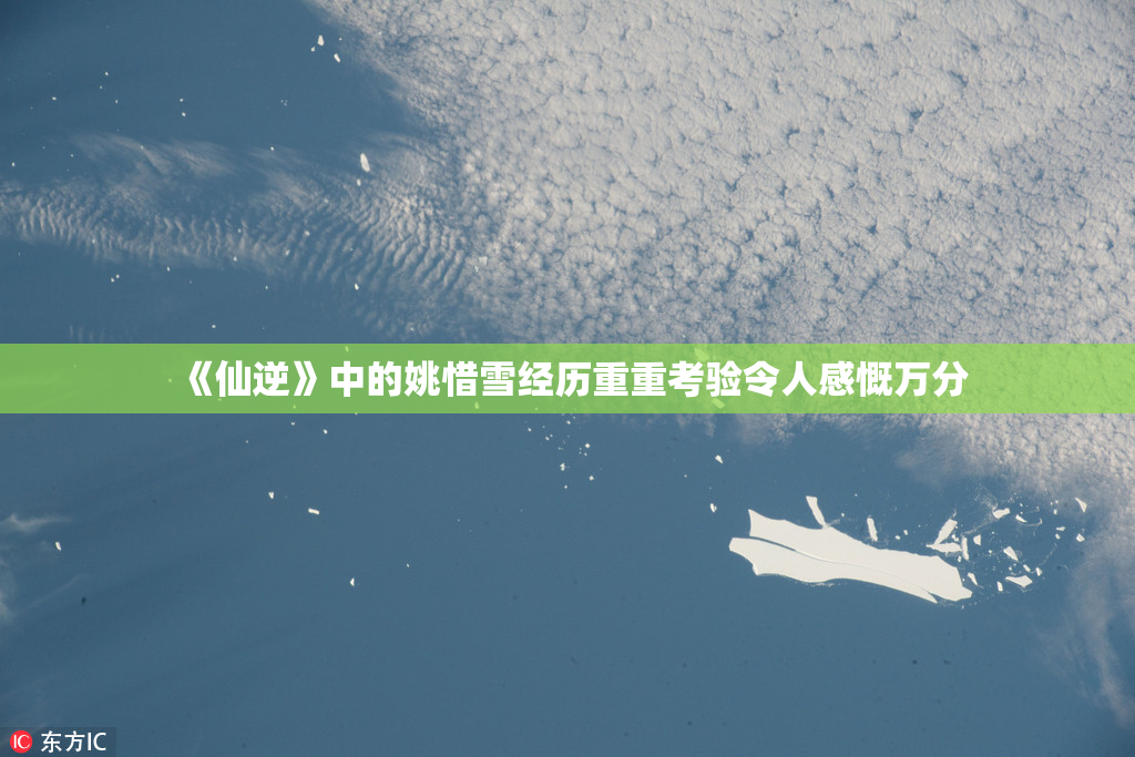 《仙逆》中的姚惜雪经历重重考验令人感慨万分
