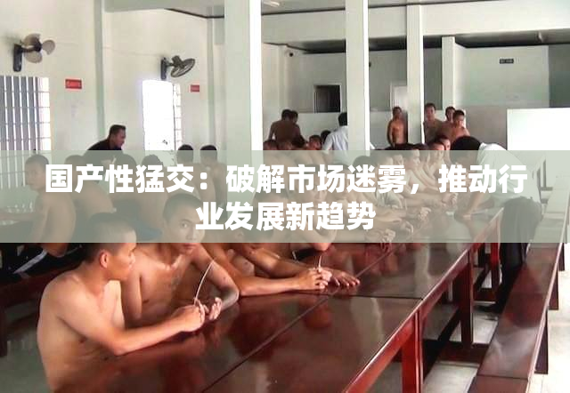 国产性猛交：破解市场迷雾，推动行业发展新趋势