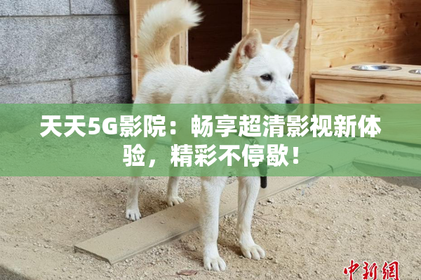 天天5G影院：畅享超清影视新体验，精彩不停歇！