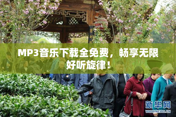 MP3音乐下载全免费，畅享无限好听旋律！
