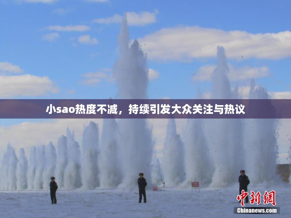 小sao热度不减，持续引发大众关注与热议