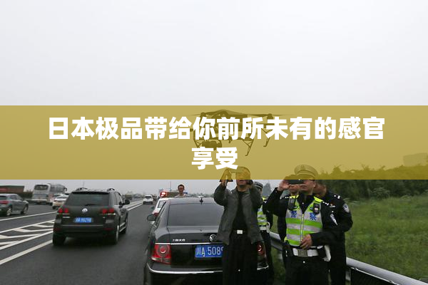 日本极品带给你前所未有的感官享受
