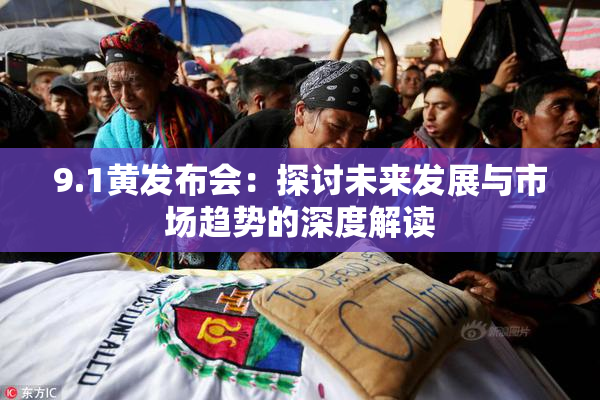 9.1黄发布会：探讨未来发展与市场趋势的深度解读