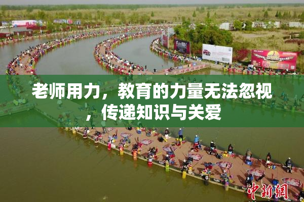 老师用力，教育的力量无法忽视，传递知识与关爱