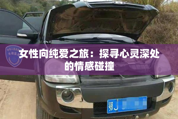 女性向纯爱之旅：探寻心灵深处的情感碰撞