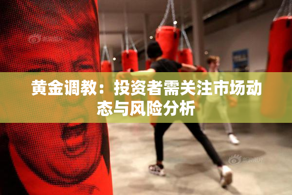 黄金调教：投资者需关注市场动态与风险分析