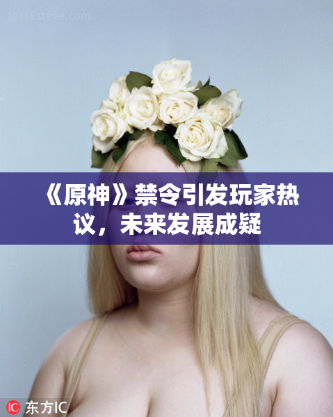 《原神》禁令引发玩家热议，未来发展成疑