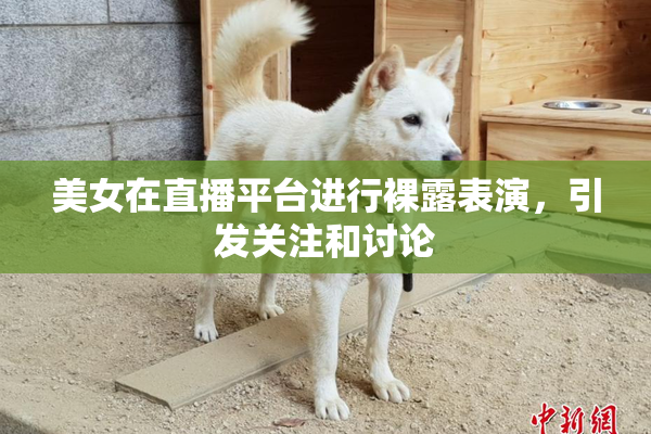 美女在直播平台进行裸露表演，引发关注和讨论