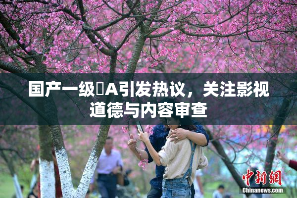 国产一级婬A引发热议，关注影视道德与内容审查