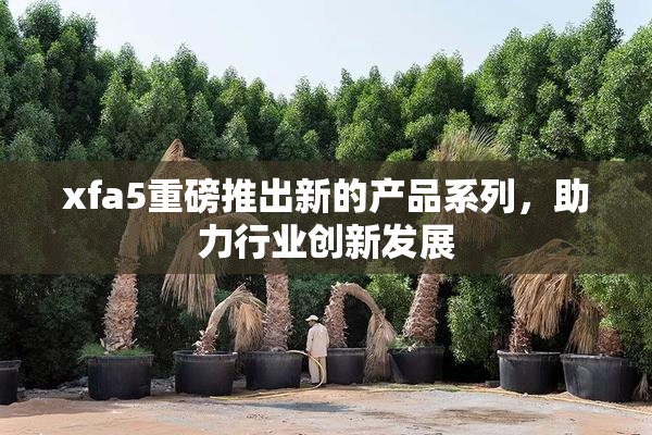 xfa5重磅推出新的产品系列，助力行业创新发展
