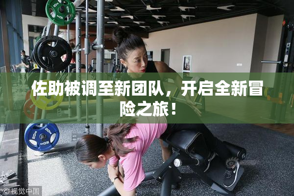 佐助被调至新团队，开启全新冒险之旅！