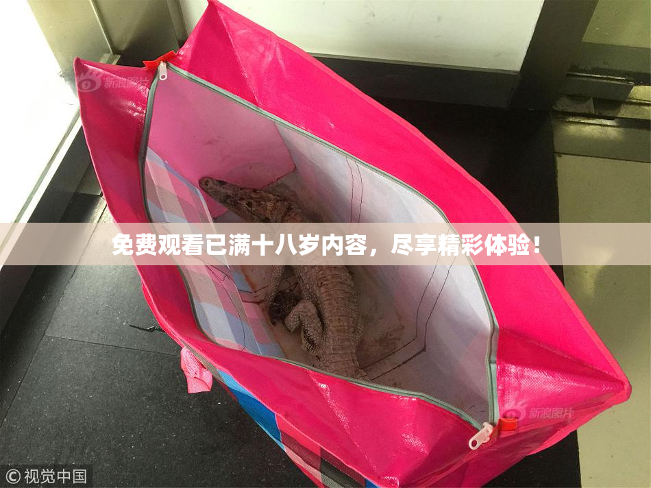 免费观看已满十八岁内容，尽享精彩体验！