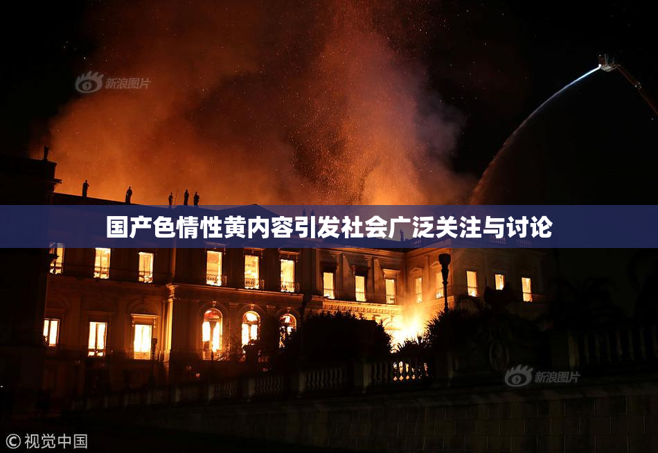 国产色情性黄内容引发社会广泛关注与讨论