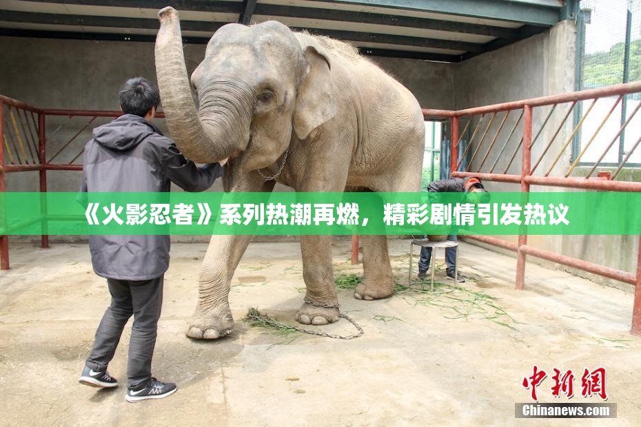 《火影忍者》系列热潮再燃，精彩剧情引发热议
