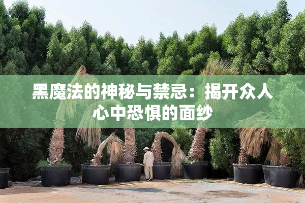 黑魔法的神秘与禁忌：揭开众人心中恐惧的面纱