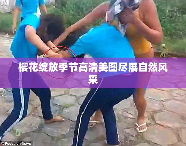 樱花绽放季节高清美图尽展自然风采