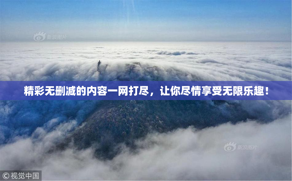 精彩无删减的内容一网打尽，让你尽情享受无限乐趣！